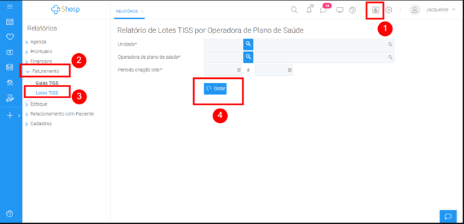 Como criar Relatórios de Faturamento TISS - img 2