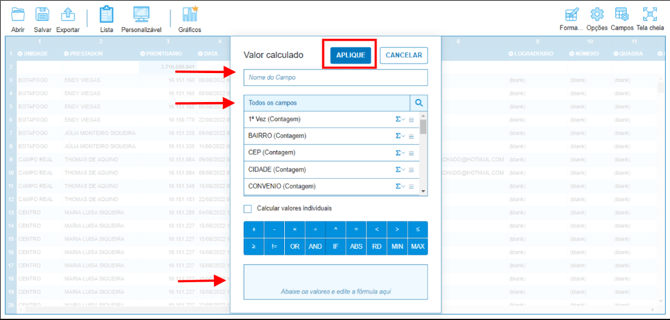 Como utilizar o Flex B.I - IMG 5