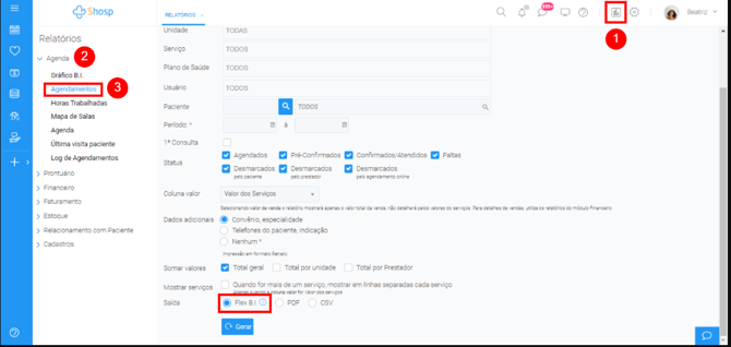 Como utilizar o Flex B.I- IMG 1