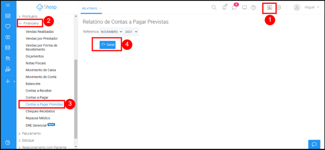 Utilizar Relatório de Contas a Pagar Previstas - img 1
